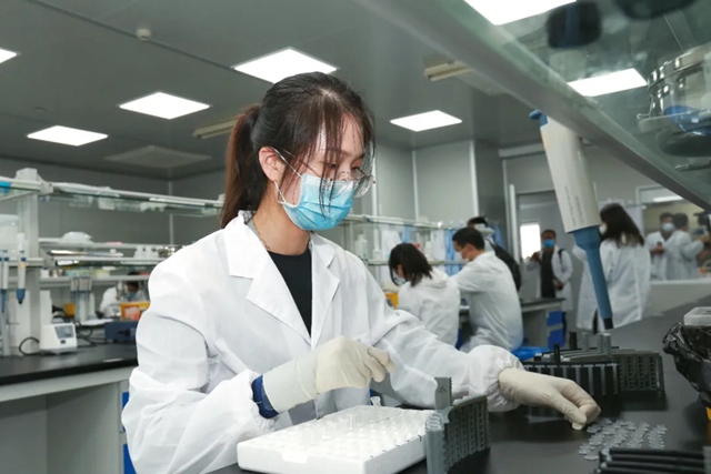 1587693100167737.jpg 640.webp (8).jpg