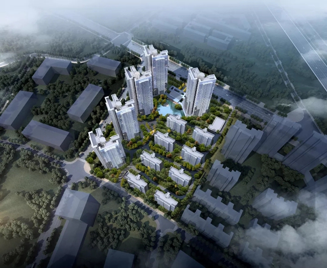 1619093002557089.jpg 640.webp (10).jpg