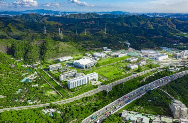 1625568413138519.jpg 640.webp (2).jpg