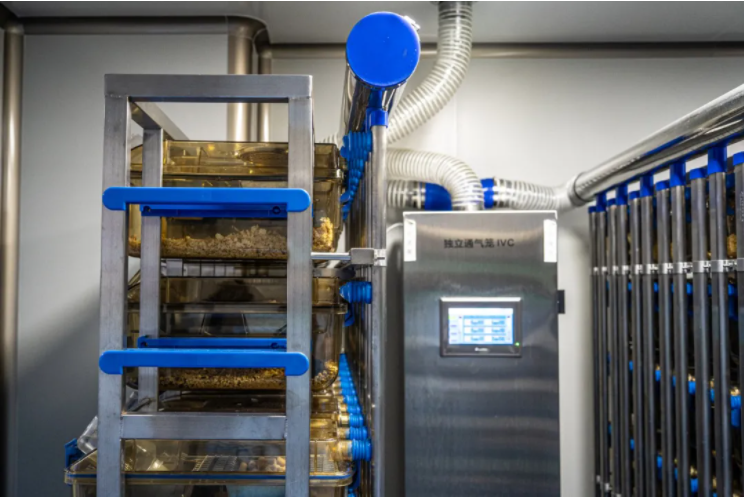 1630373959371923.png image.png