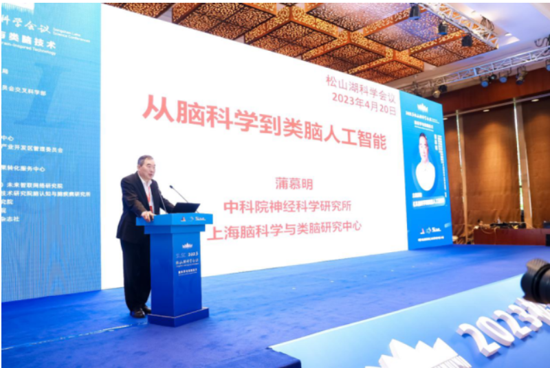 1682054163748839.png image.png