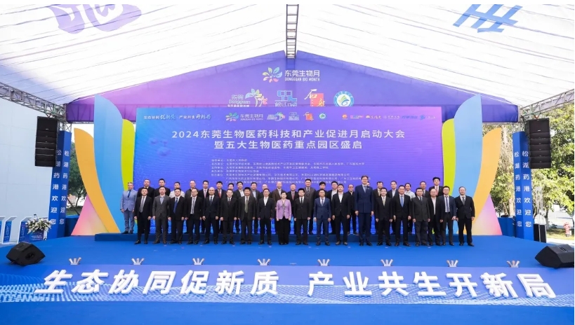 1734576527302169.jpg 555.jpg